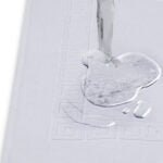 Terry Cotton Bath Mat Set of 2 – 750 GSM, Absorbent