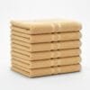 01 Terry Cotton Hand Towels Pack of 6 – 14x21 Inches