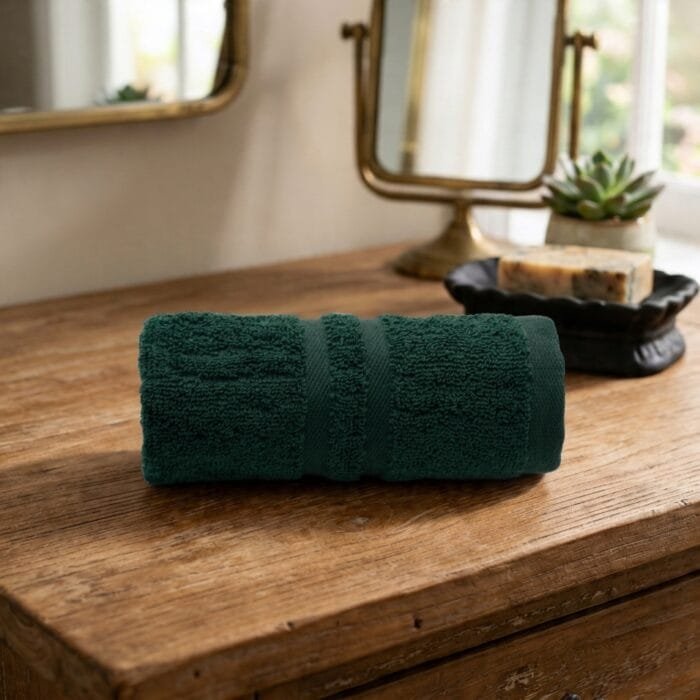 Terry Cotton Hand Towels Pack of 6 – 14x21 Inches